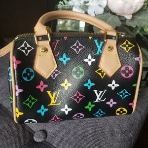 Louis Vuitton Multicolor Speedy Nano